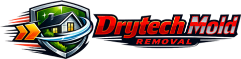 Drytech Mold Removal